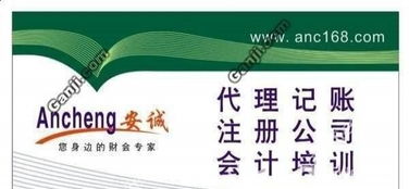 蜀山井崗路企業一站式財稅服務指南 代理記賬、進出口權及審計變更全解析